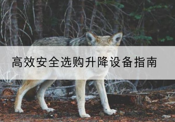 港南升降货梯厂家推荐-*安全选购升降设备指南