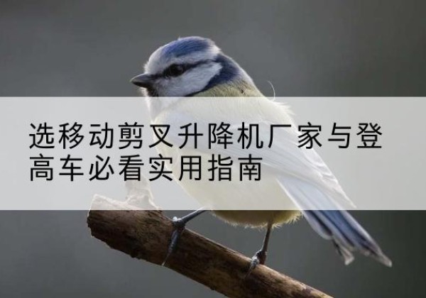 港南电动升降机厂家-选移动剪叉升降机厂家与登高车必看实用指南