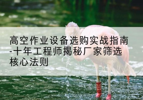 港南剪叉式升降机厂家-高空作业设备选购实战指南-十年工程师揭秘厂家筛选核心法则